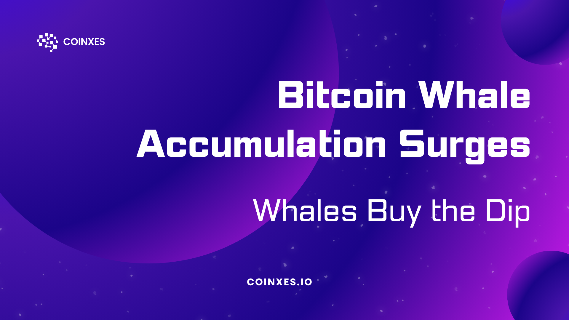 Bitcoin Whale Accumulation Surges as Whales Buy the Dip